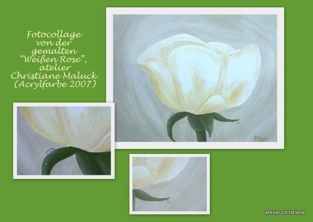 "Weiße Rose", in Acrylfarbe von 2007 